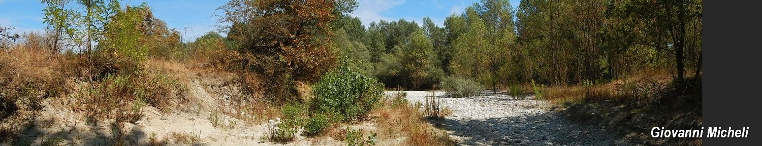 Parco del Ticino: incontri del 26.7.15